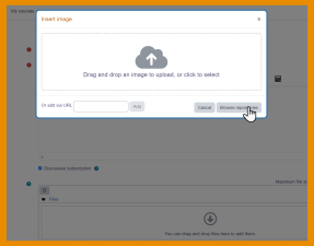 Convenient file management Drag and drop files or upload from cloud storage services including MS OneDrive, Dropbox and Google Drive. Working with files